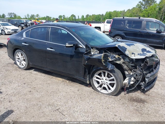 Salvage Nissan Maxima Image