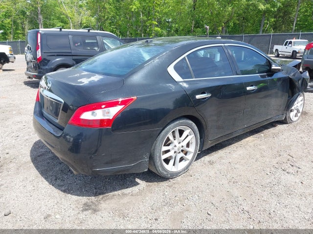 Nissan Maxima 3.5 Sv