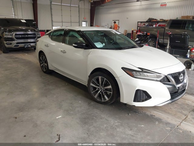 Salvage Nissan Maxima Image