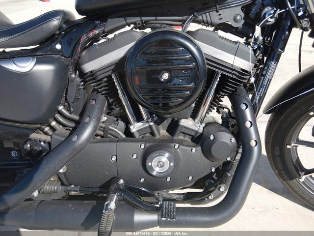 Harley-Davidson Xl883 N