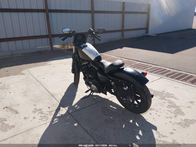Harley-Davidson Xl883 N