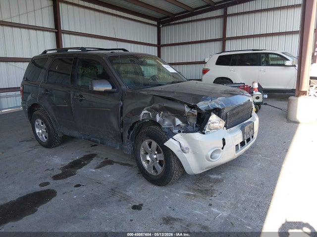 Salvage Ford Escape Image