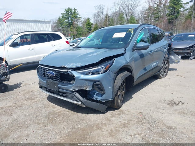Ford Escape Platinum