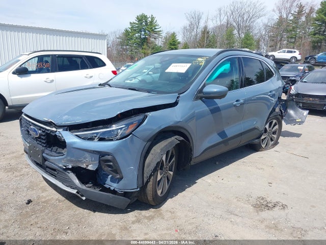 Ford Escape Platinum