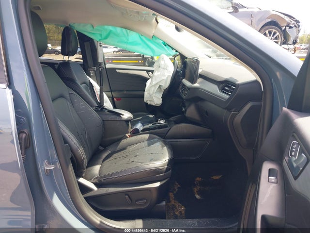 Ford Escape Platinum