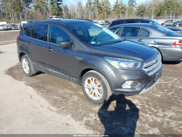 Salvage Ford Escape Image