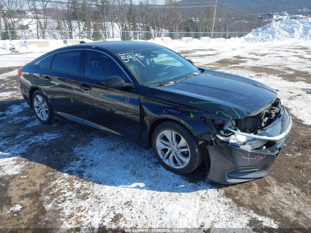 Salvage Honda Accord Image