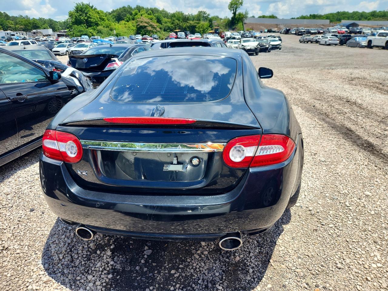 Jaguar XK Portfolio