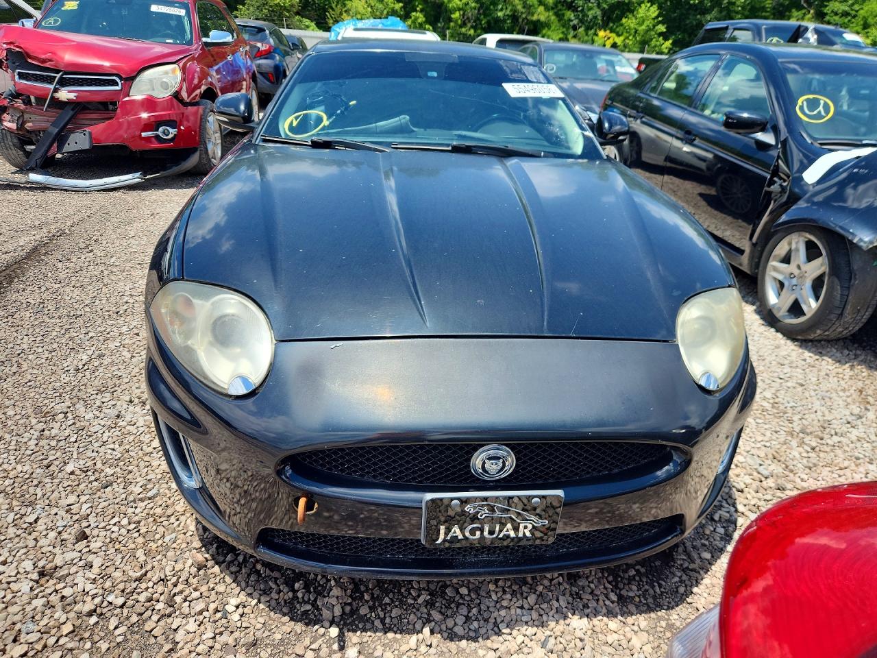 Jaguar XK Portfolio