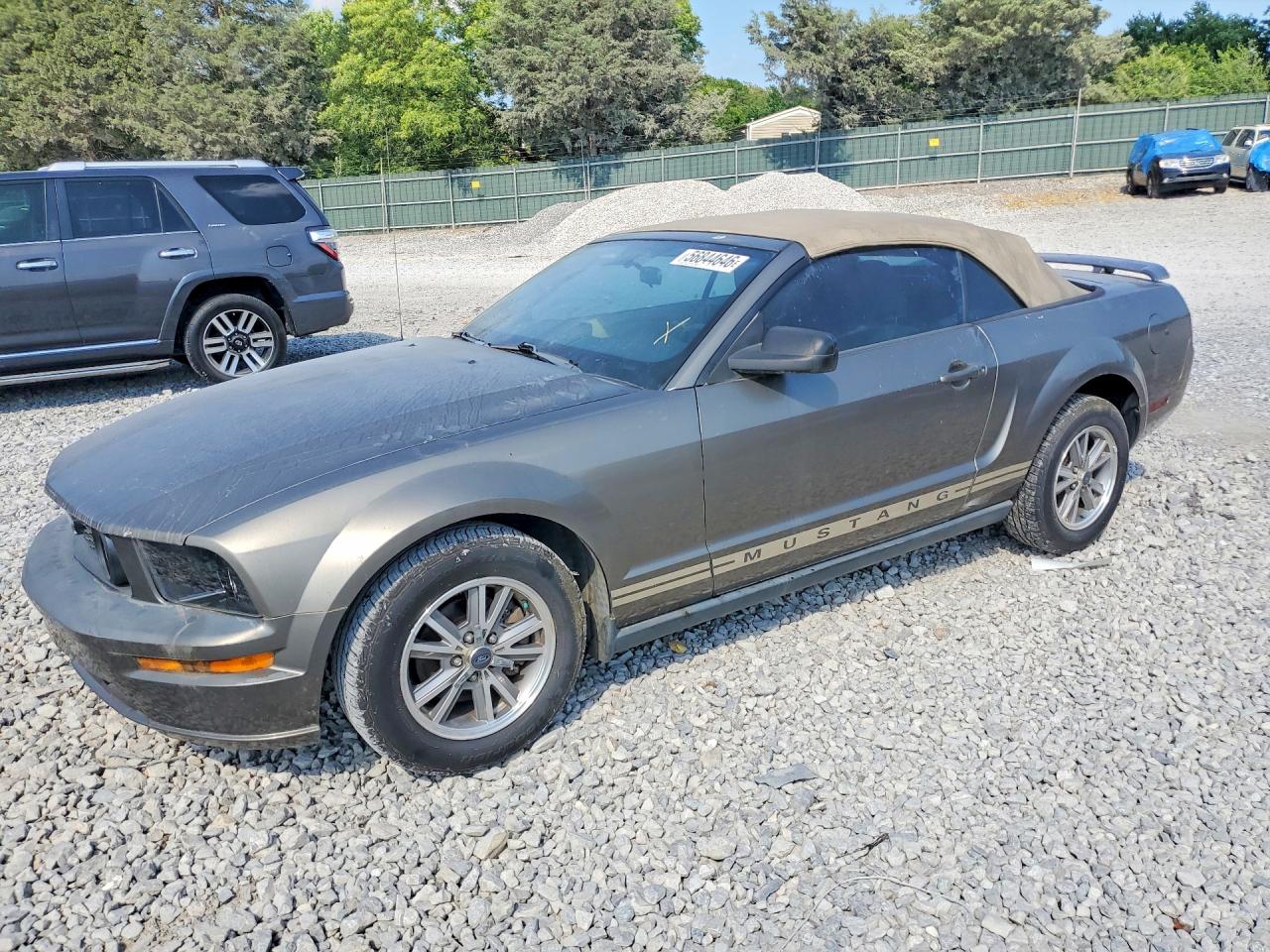 Salvage Ford Mustang Image
