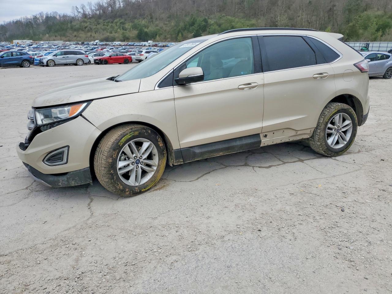 Salvage Ford Edge Image