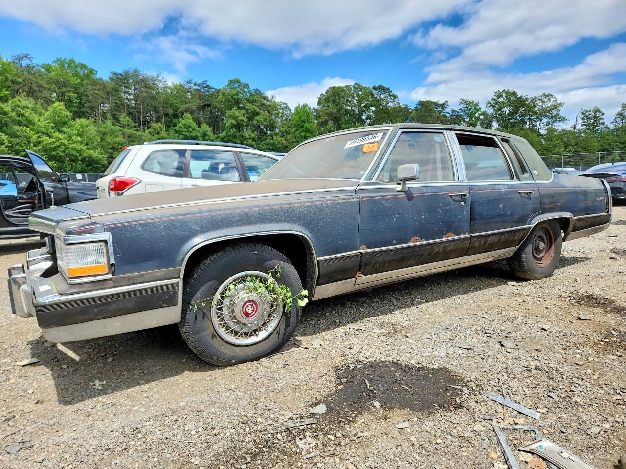 Salvage Cadillac Brougham Image