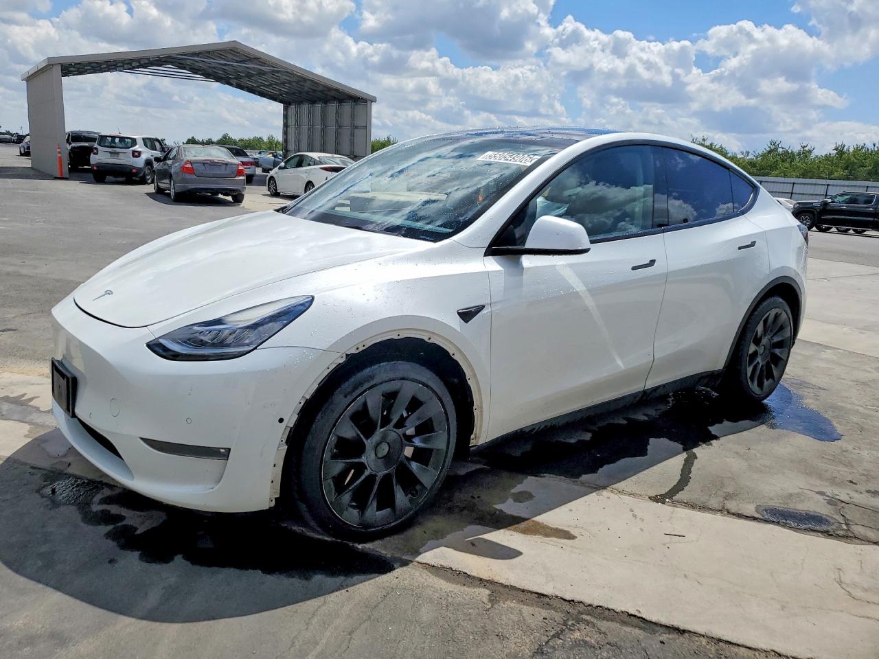 Salvage Tesla Model Y Image