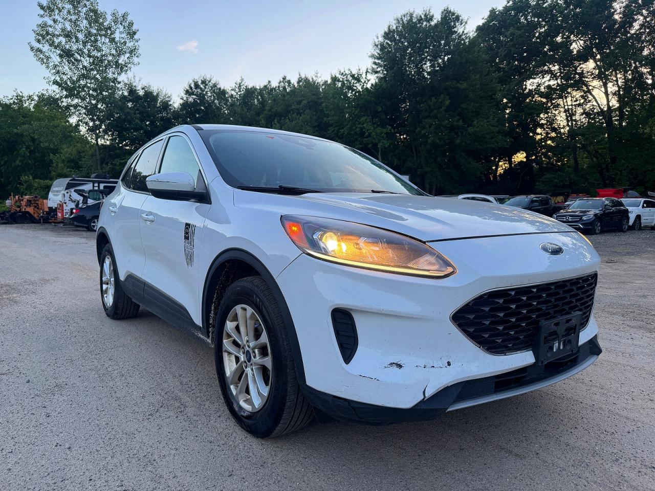 Salvage Ford Escape Image