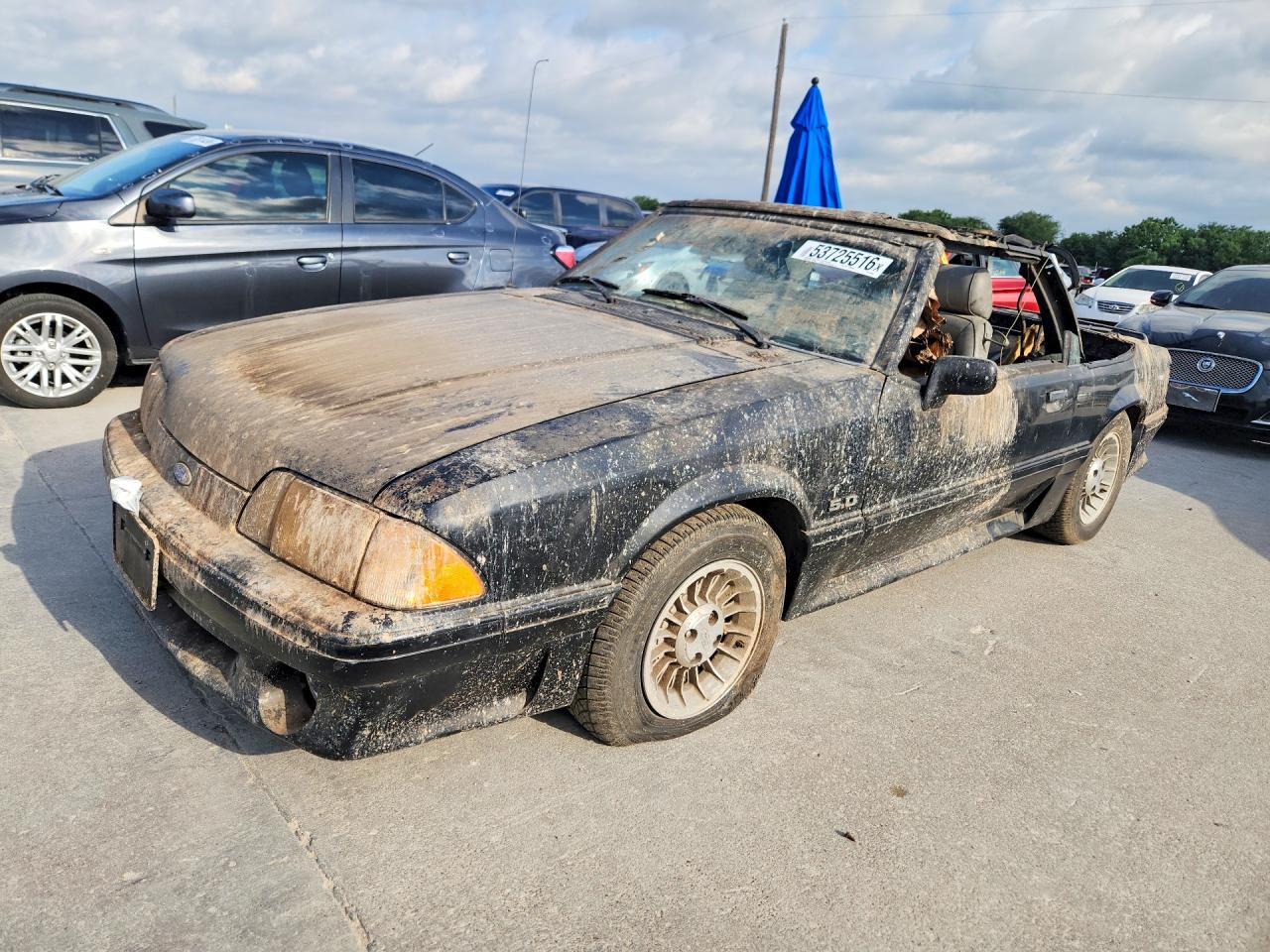 Salvage Ford Mustang Image