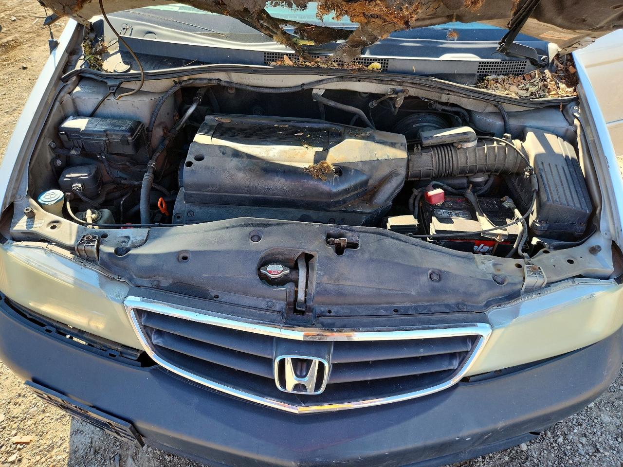 Honda Odyssey Ex