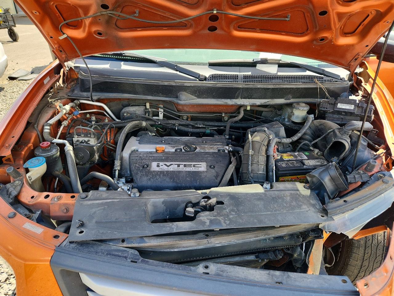 Honda Element Ex