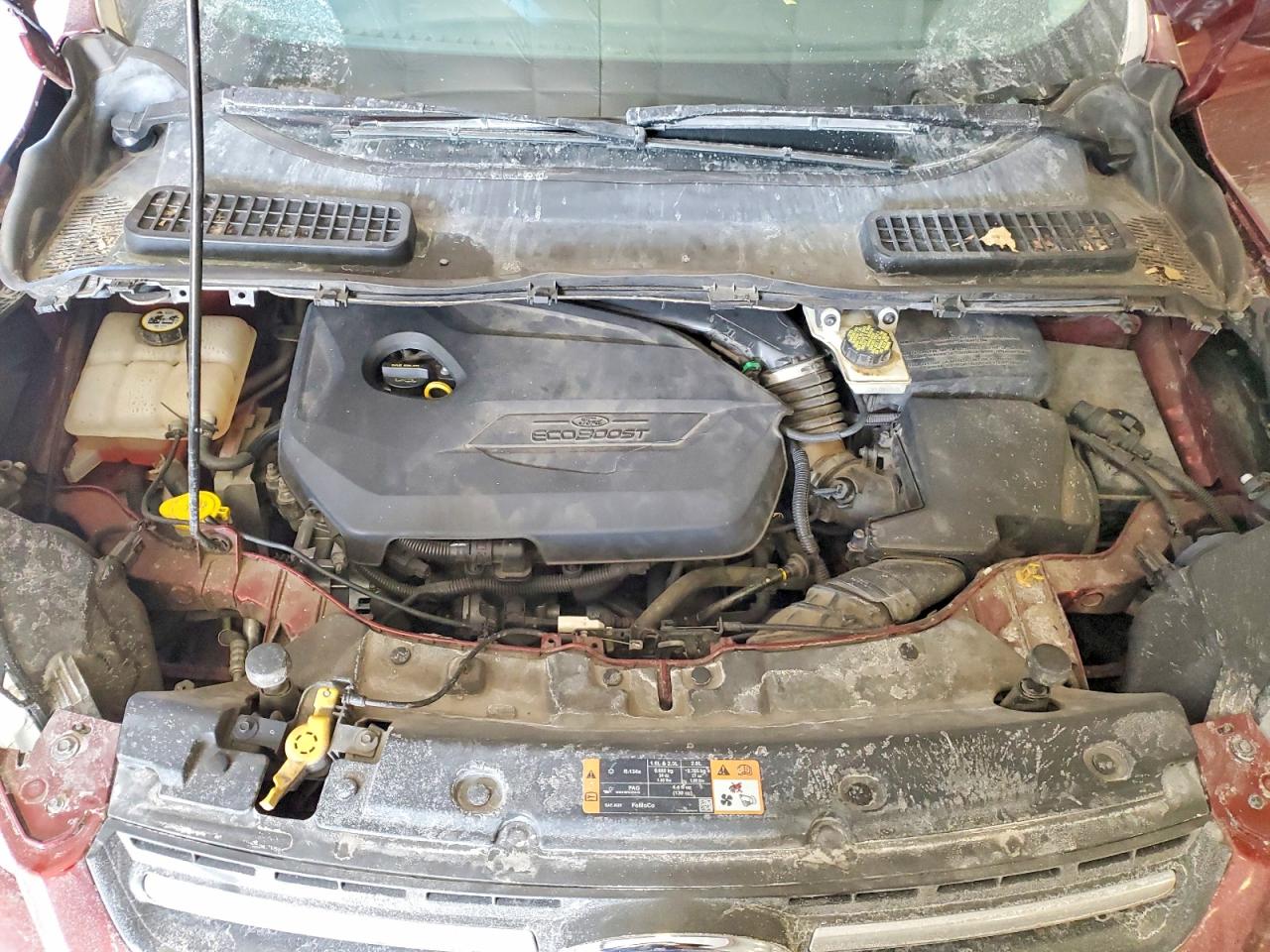 Ford Escape Se