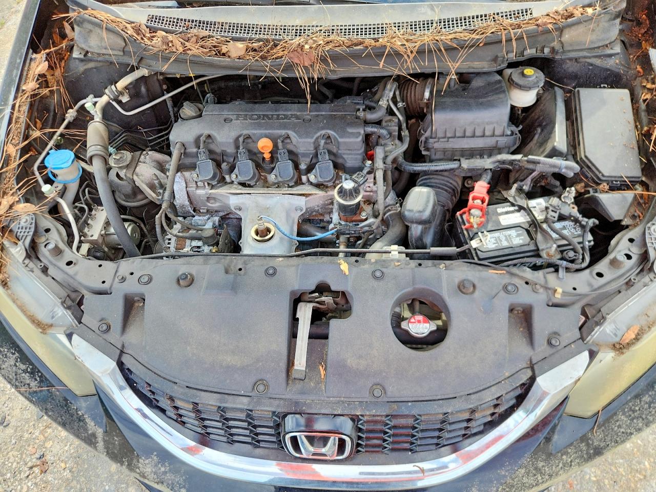 Honda Civic Ex