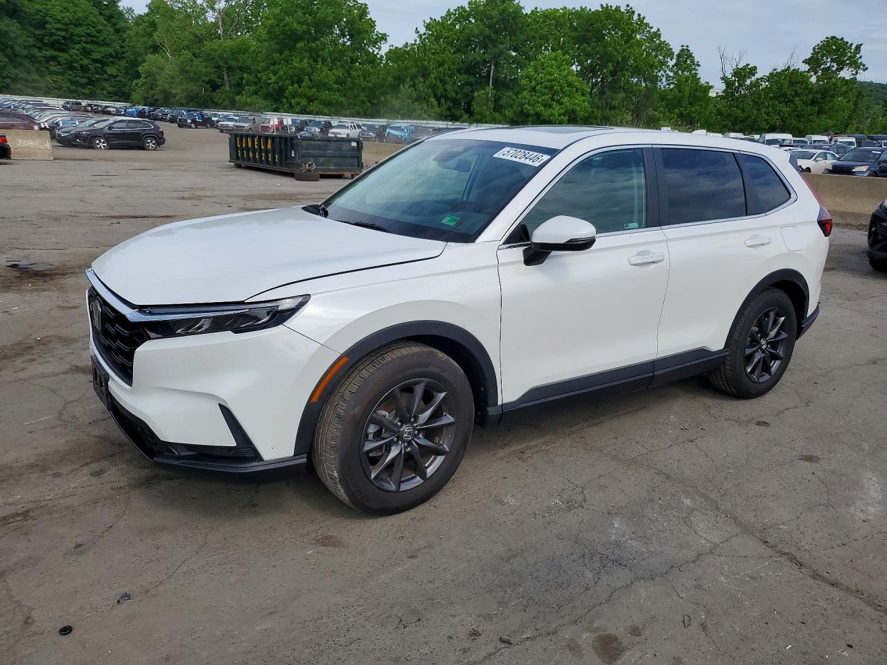 Salvage Honda Crv Image