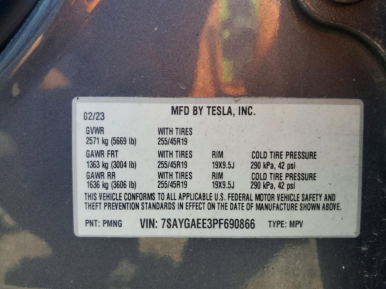 Tesla Model Y