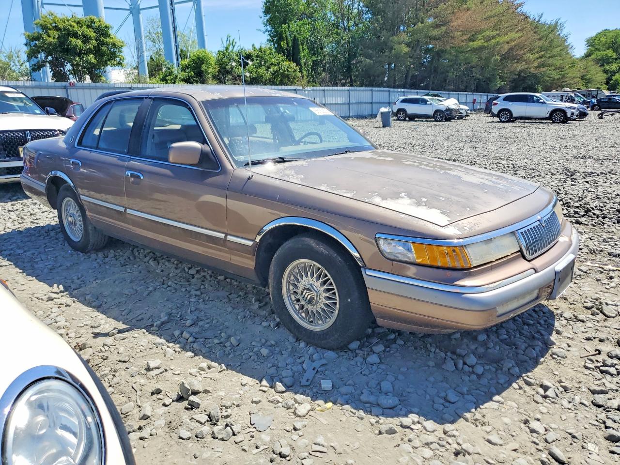 Mercury Grmarquis