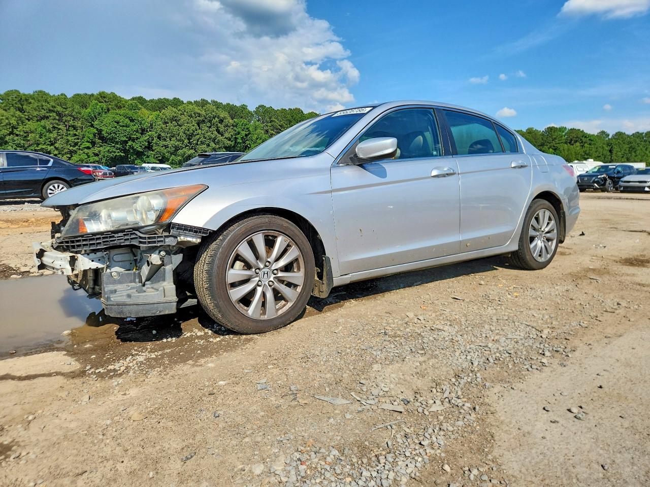 Salvage Honda Accord Image