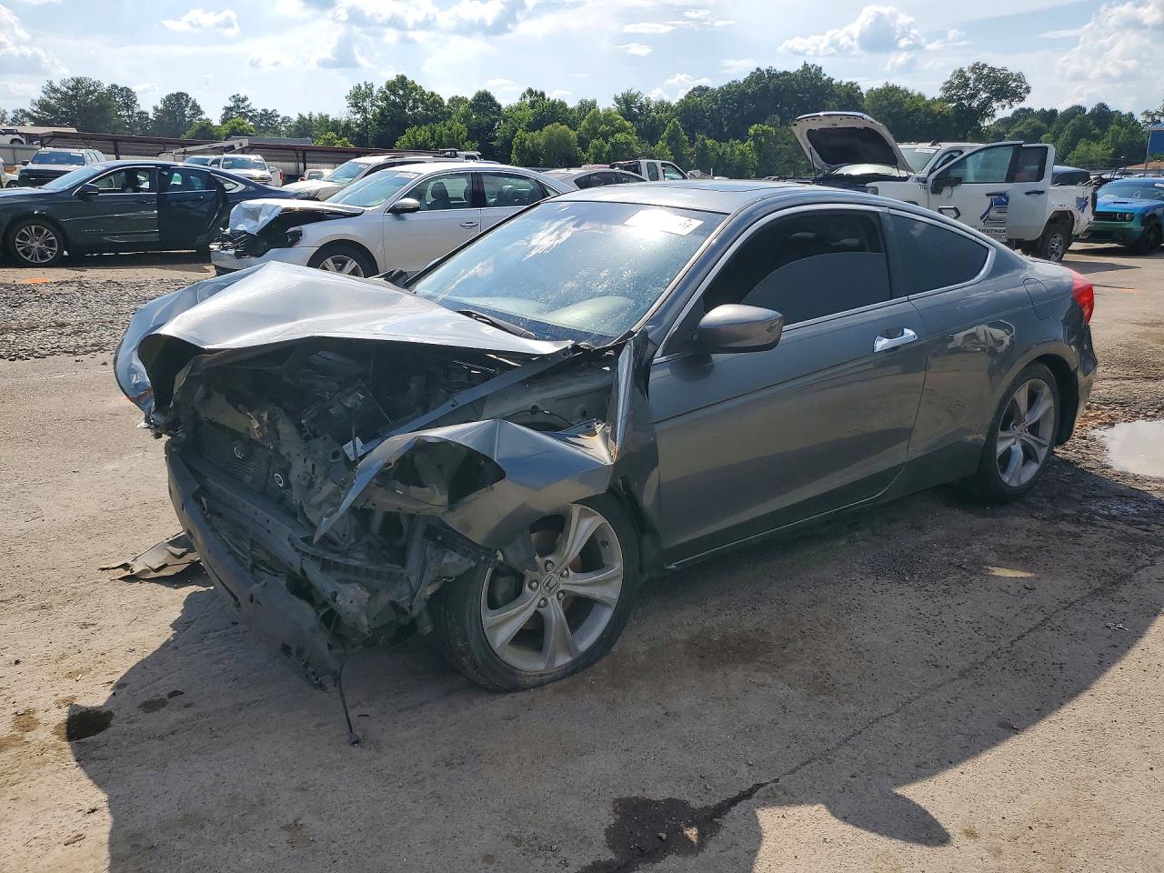 Salvage Honda Accord Image