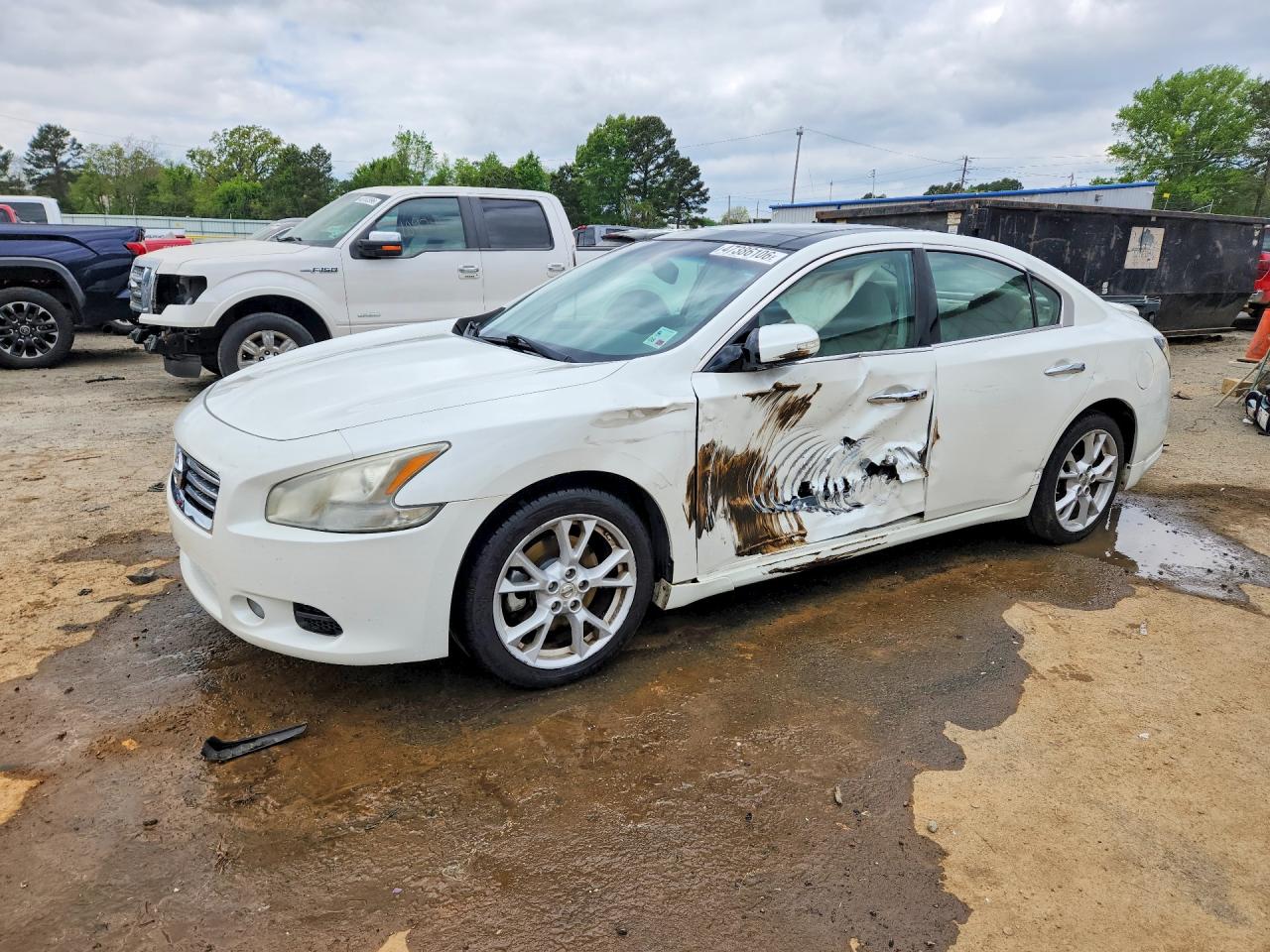 Salvage Nissan Maxima Image
