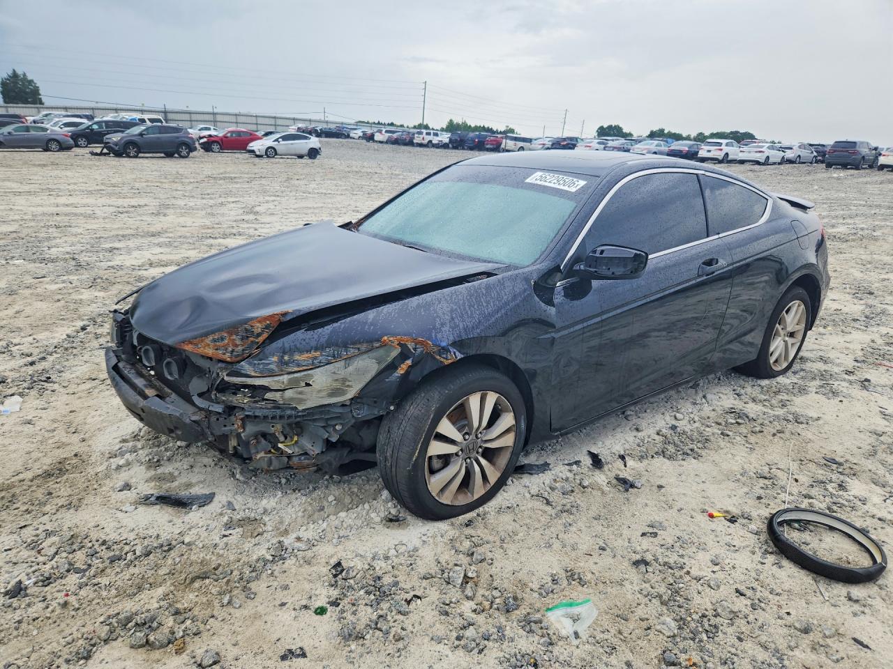 Salvage Honda Accord Image