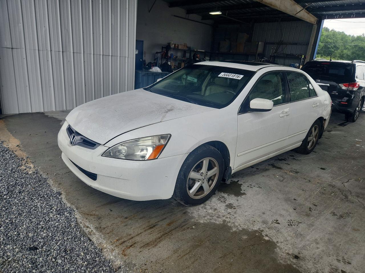 Salvage Honda Accord Image