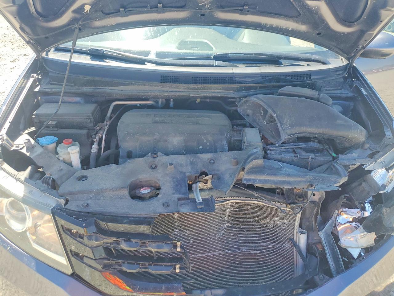 Honda Odyssey Exl