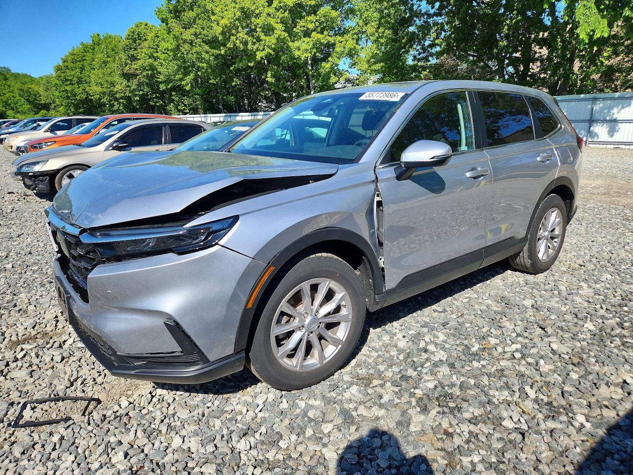 Salvage Honda Crv Image