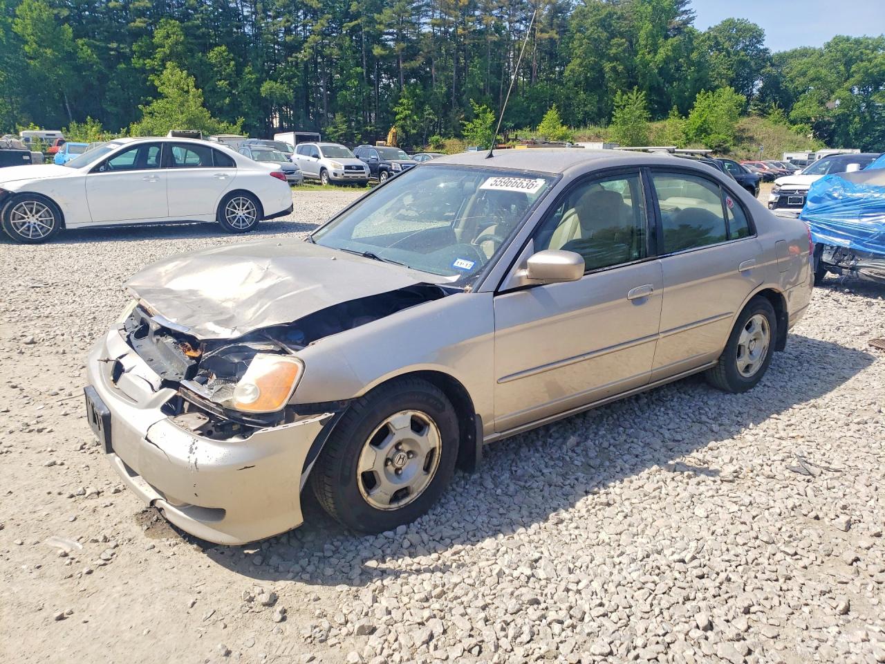 Salvage Honda Civic Image