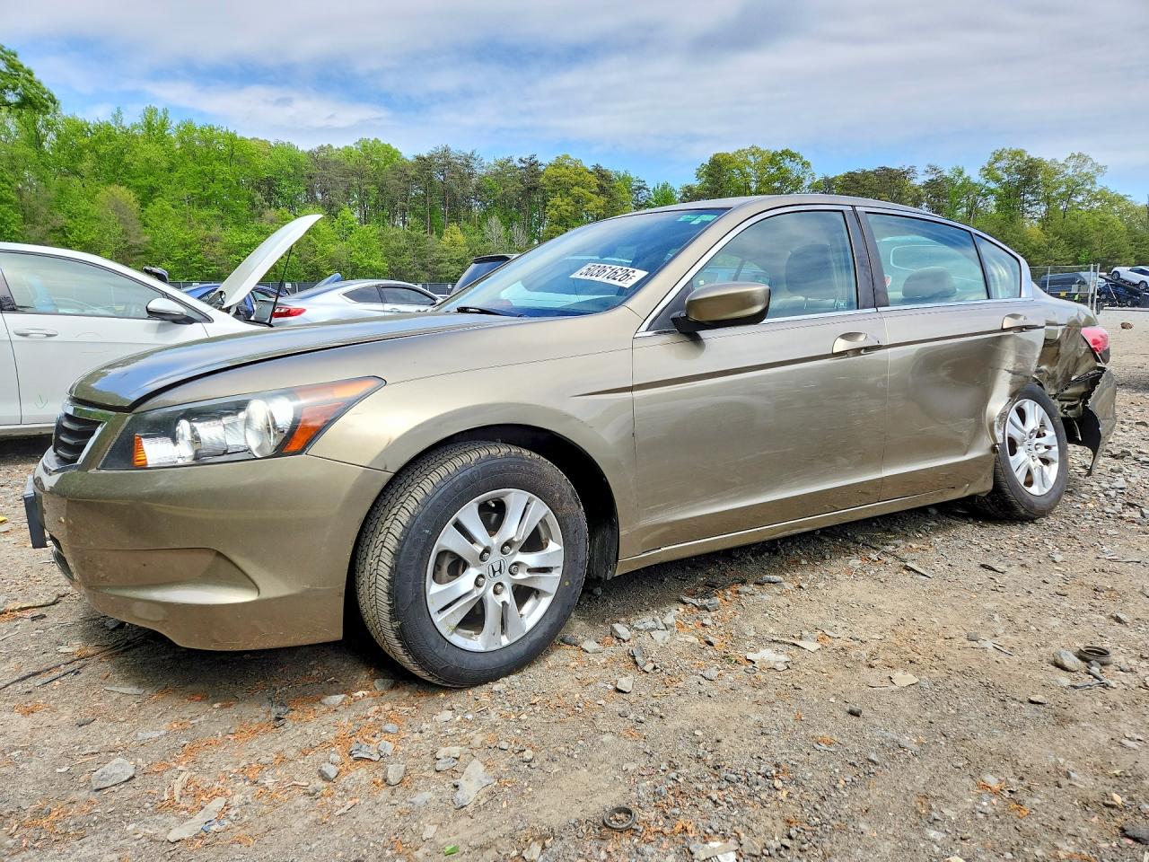 Salvage Honda Accord Image