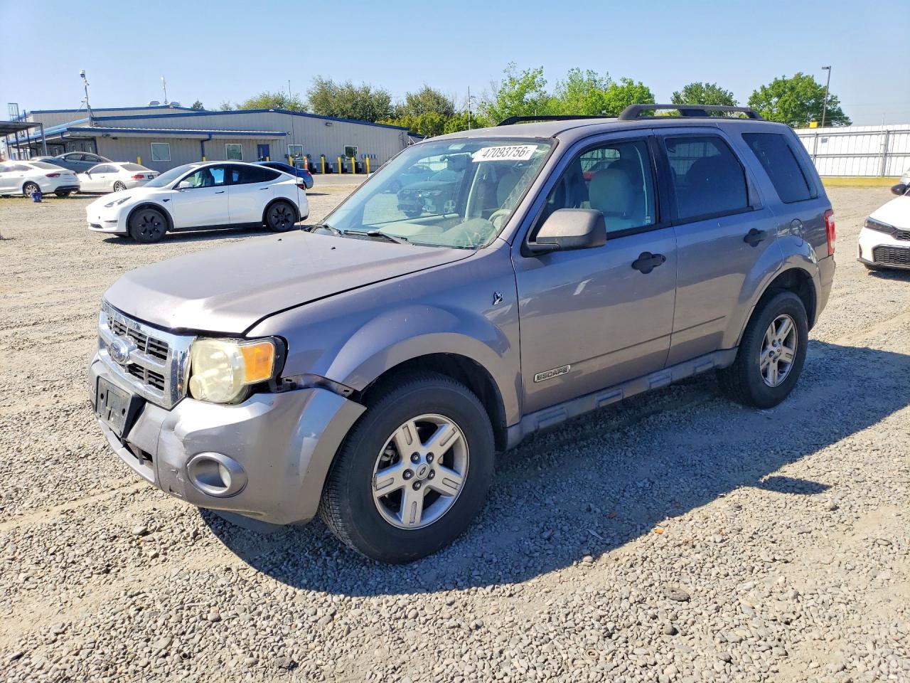 Salvage Ford Escape Image