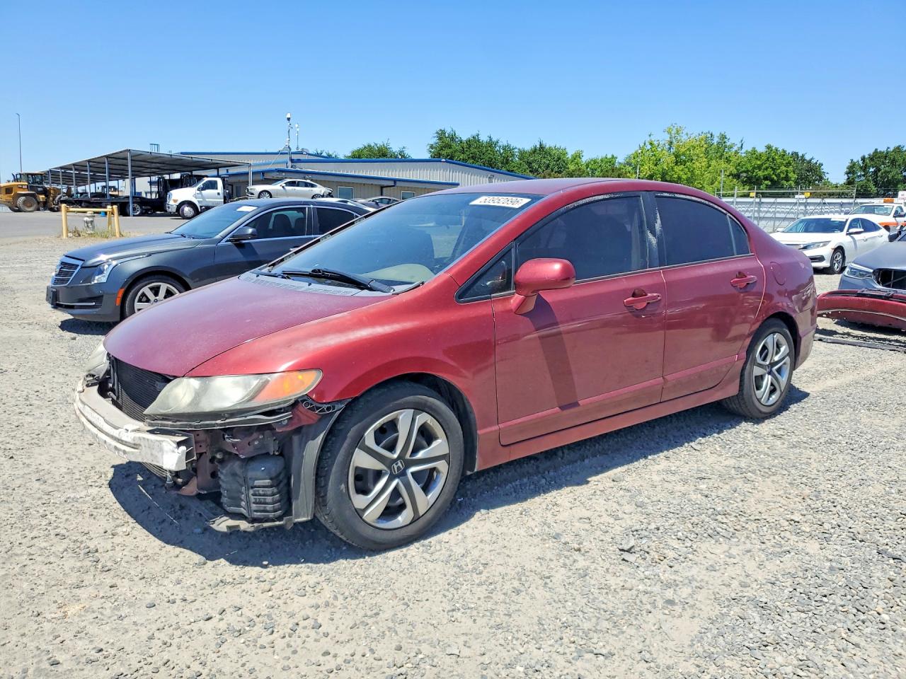 Salvage Honda Civic Image