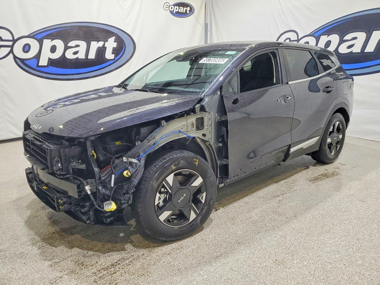 Salvage Kia Sportage Image