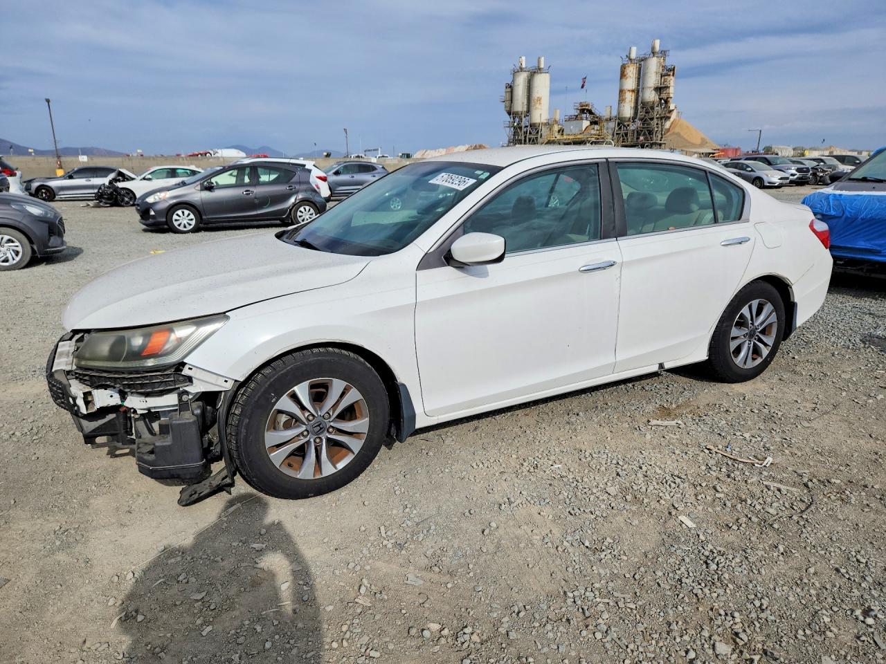 Salvage Honda Accord Image
