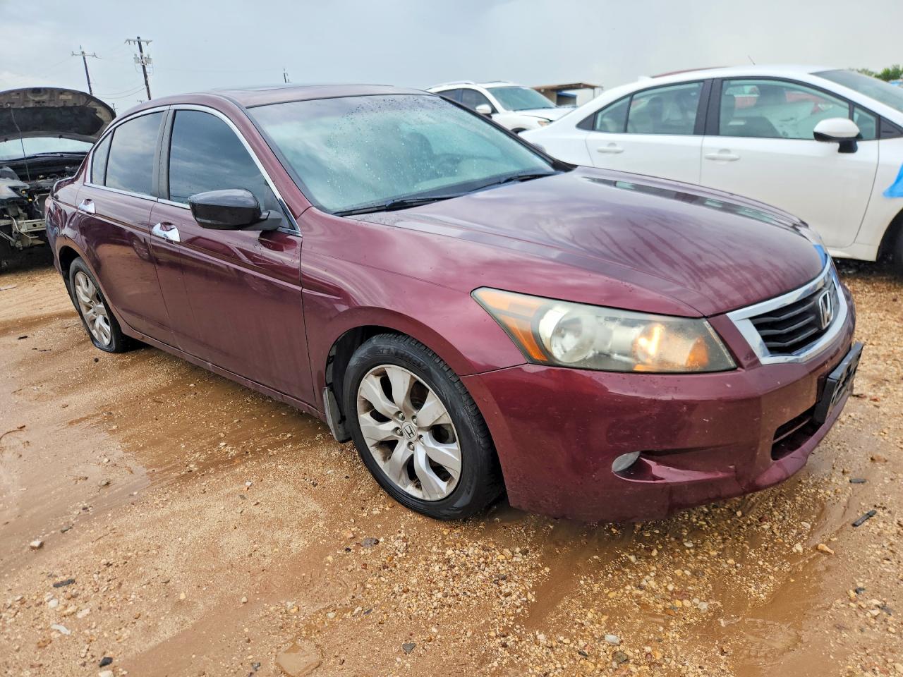 Honda Accord Exl