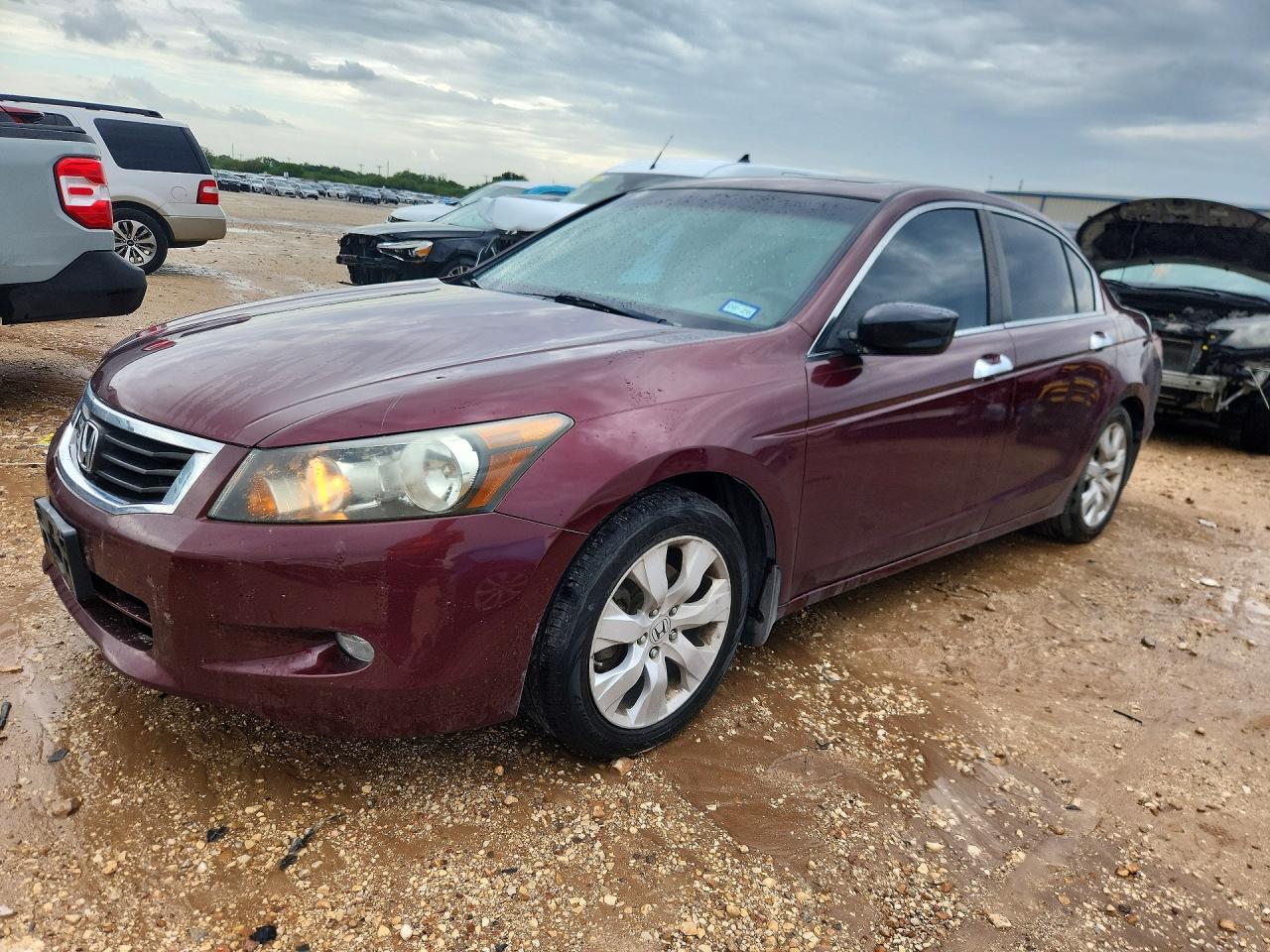 Salvage Honda Accord Image