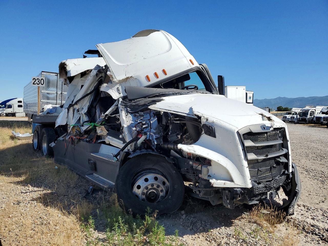 Salvage Freightliner Cascadia 126 Image