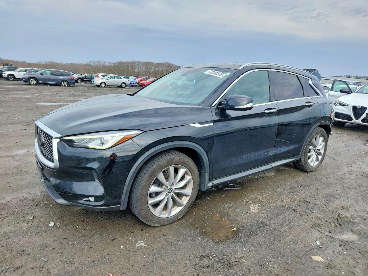 Salvage INFINITI Qx Image