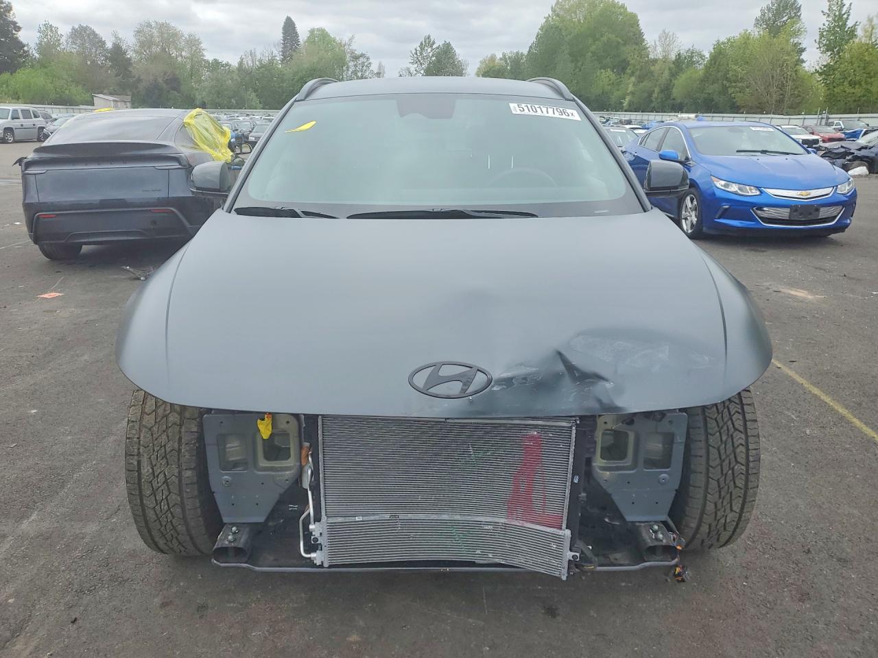 Hyundai Ioniq Xrt