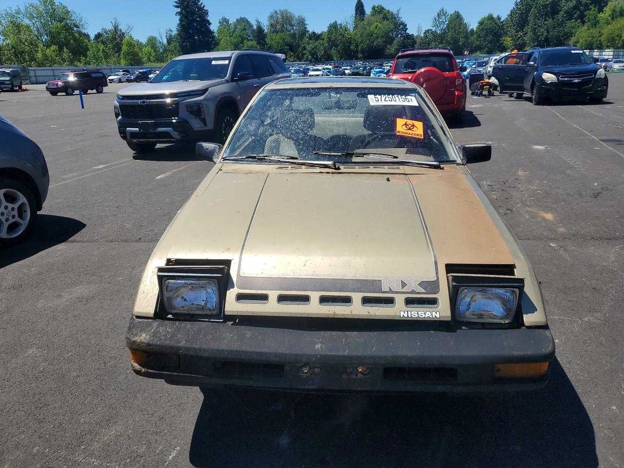 Datsun Pulsar Nx