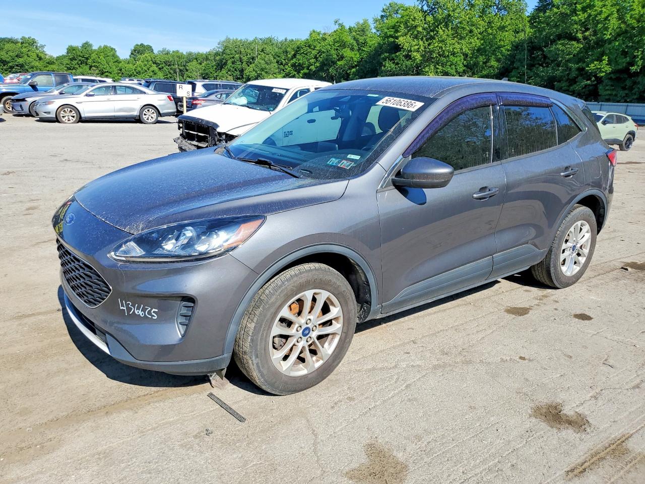 Salvage Ford Escape Image
