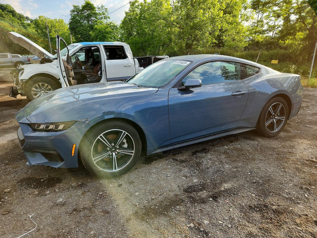 Salvage Ford Mustang Image