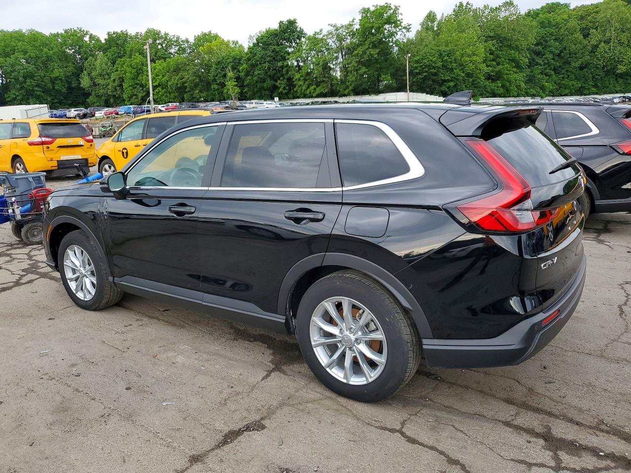 Honda Crv Exl