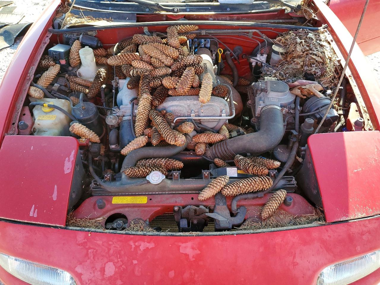 Mazda Mx5