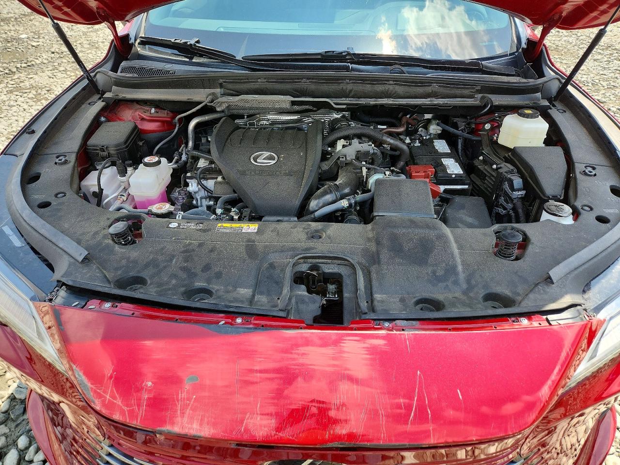Lexus RX Luxury